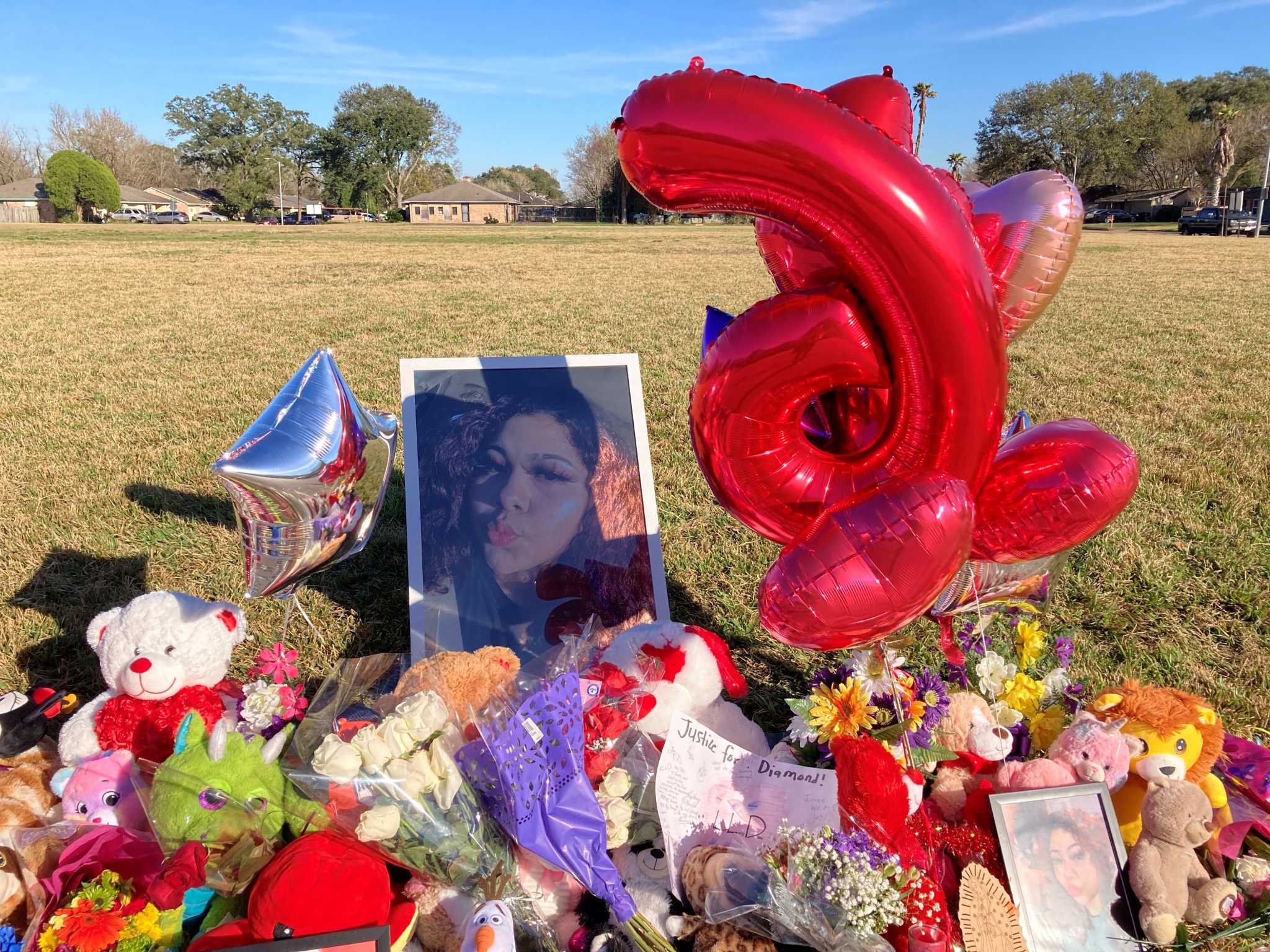 ‘Speak up’: Houston girl, 16, fatally shot as she walked dog 6