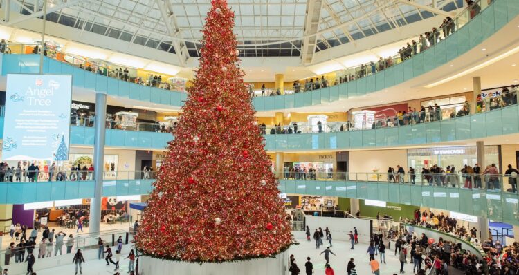 The Nation’s Tallest Indoor Christmas Tree To Be Lit November 10 1